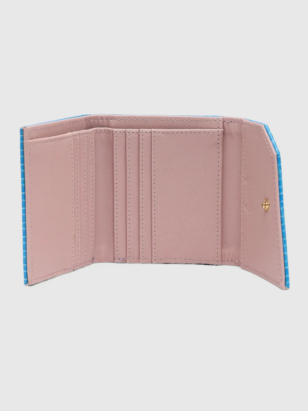 Caprese Ernesa Small Aqua Wallet - Image 9