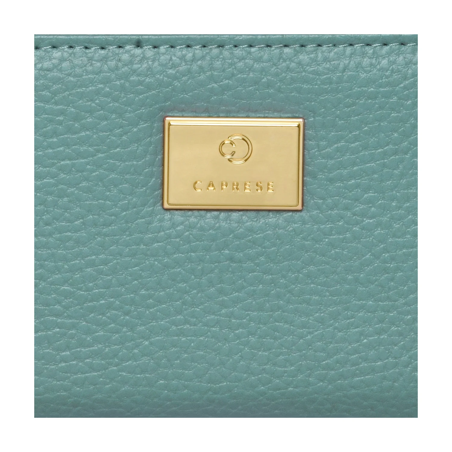 Caprese Kristin Medium Zip Around Wallet - Image 7