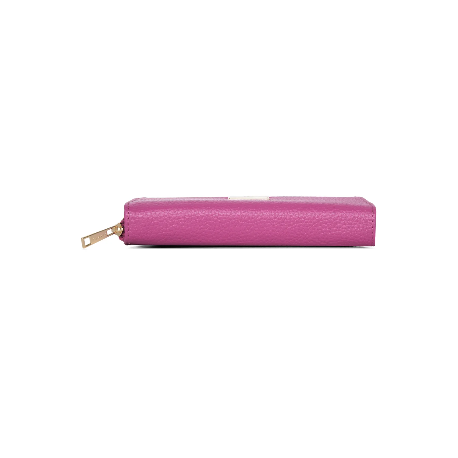 Caprese Kristin Zip Around Wallet - Image 6