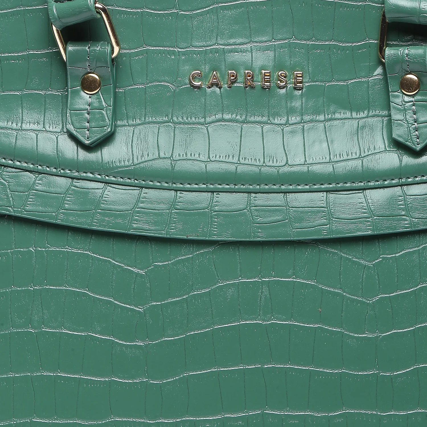 Caprese Rylee Large Satchel Bag - Image 14
