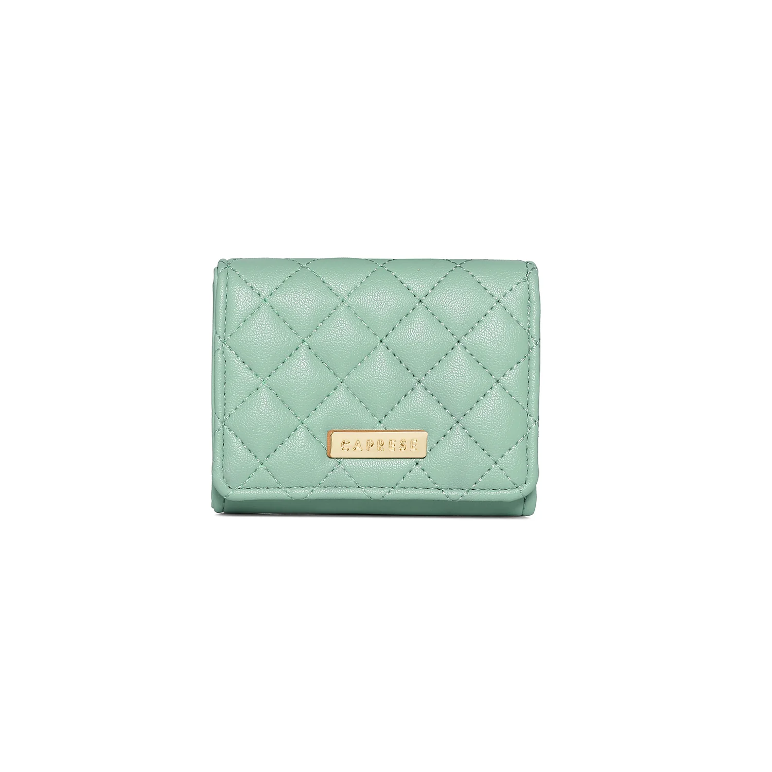 Caprese Erica Small Powder Blue Flap Wallet