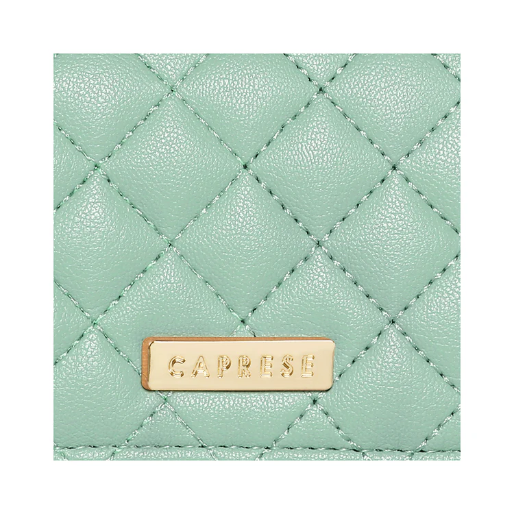 Caprese Erica Small Powder Blue Flap Wallet - Image 7